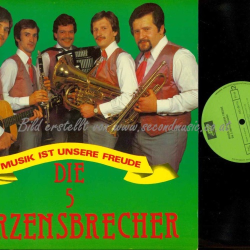 LP--Die 5 Herzensbrecher – Musik Ist Unsere Freude/   NM