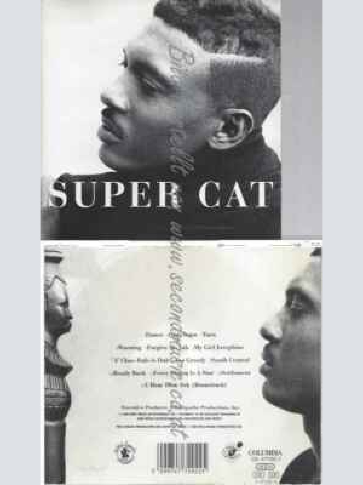 CD--SUPER CAT--STRUGGLE CONTINUES