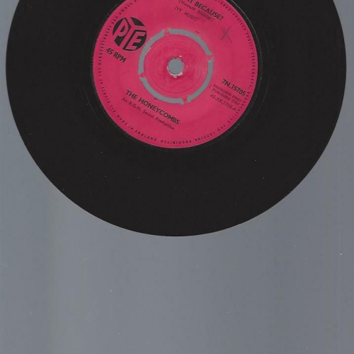 7"   The Honeycombs  Is It Because