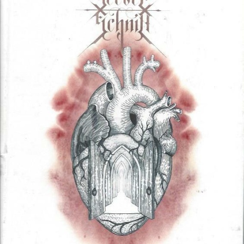 CD--Seelenschnitt Innenwelten / Book Edition