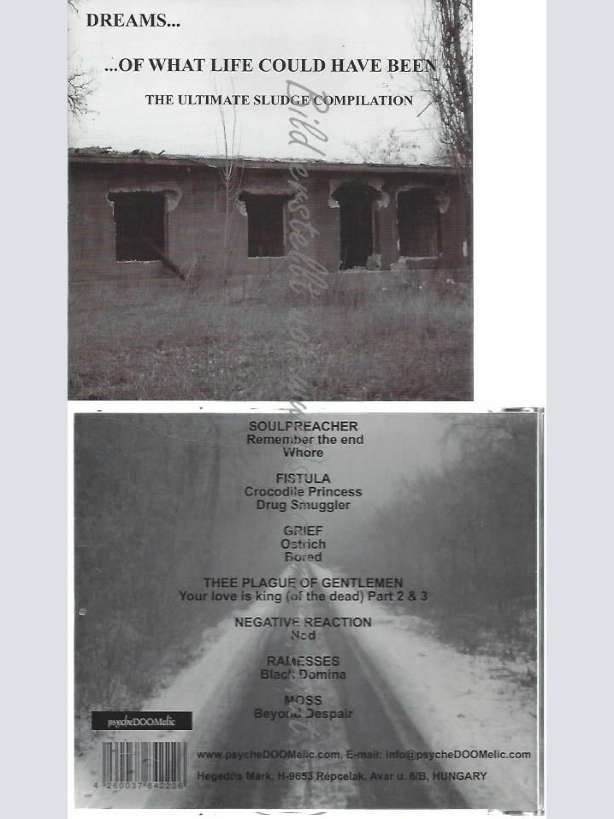 CD-- VARIOUS ARTISTS--DREAMS OF WHAT LIFE COULD HAVE