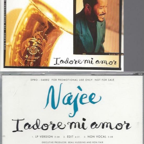 CD-   Najee – I Adore Mi Amor  / PROMO
