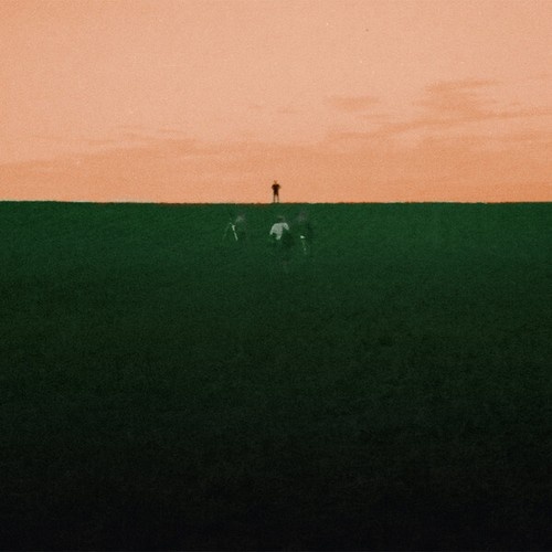 CD, Album Dust Covered Carpet - Witness Me Pass Out