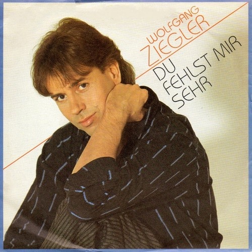 7", Single Wolfgang Ziegler - Du Fehlst Mir Sehr