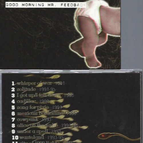 CD--THE JEKYL & HYDE PARK BAND GOOD MORNING MR FEEDBACK