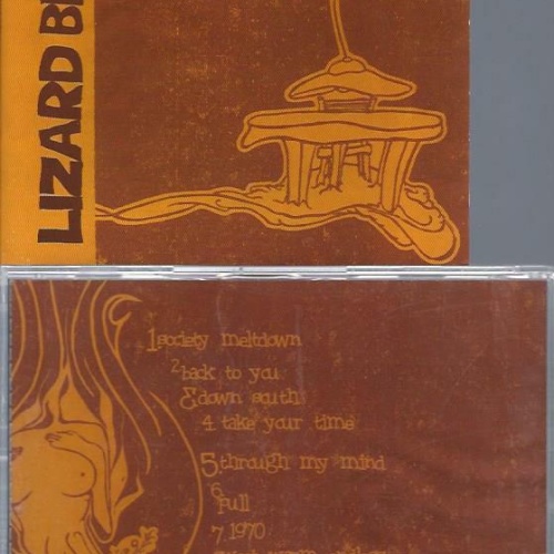 CD-- LIZARD BEAUTY SOUL DAMAGE FOR A BUNCH OF NOTHING