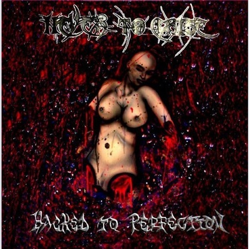 CD, Album Never To Arise - Hacked To Perfection