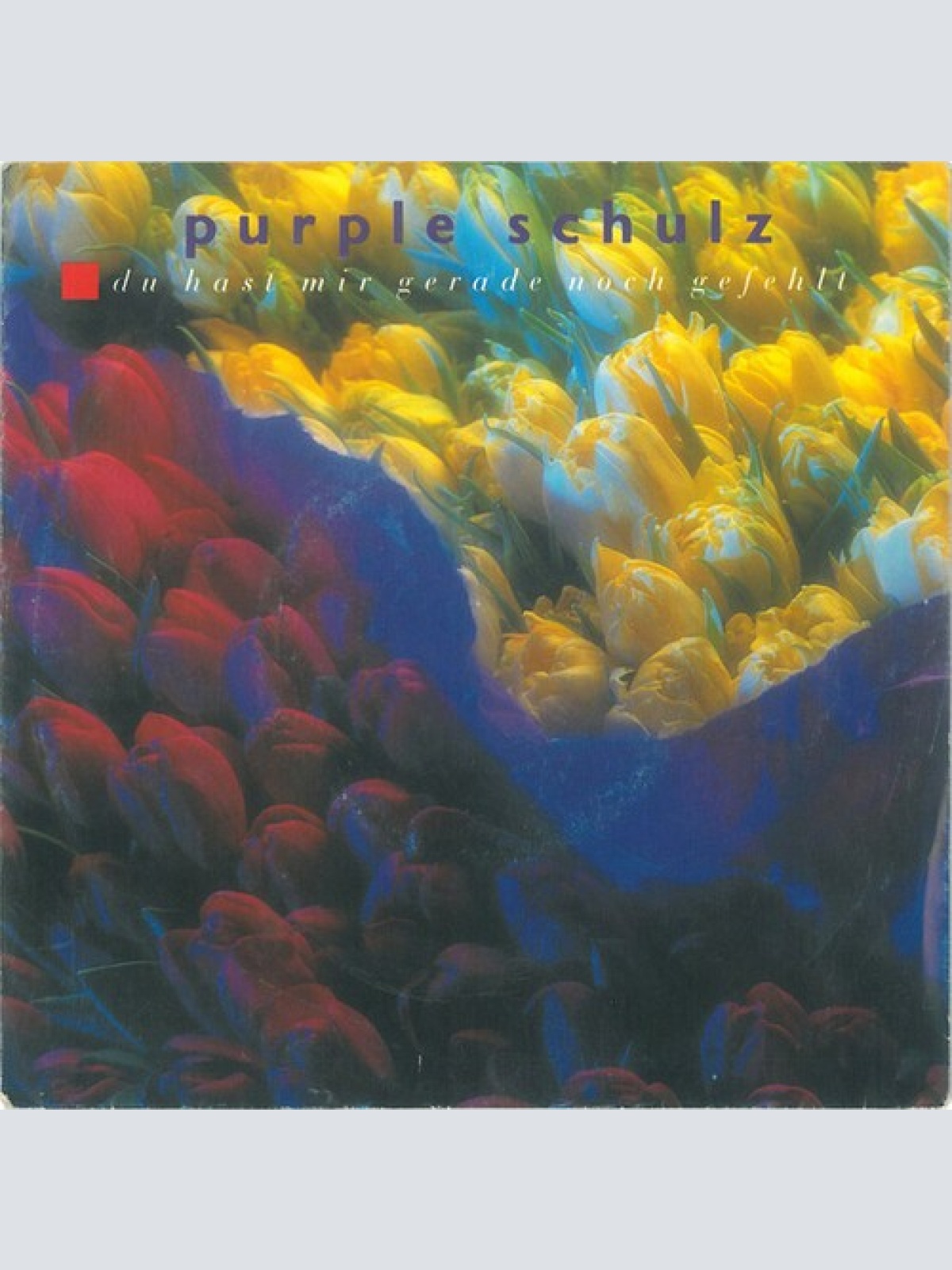 7", Single Purple Schulz - Du Hast Mir Gerade Noch Gefehlt