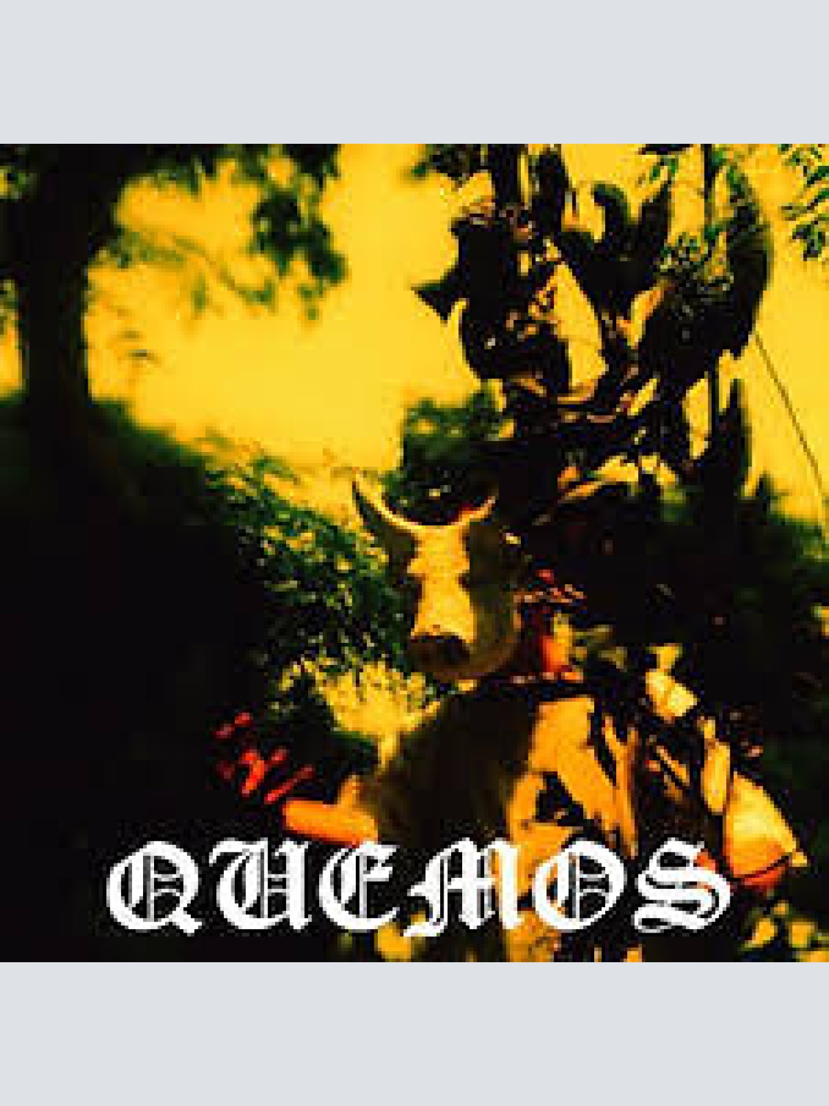 CD, Album Quemos - Quemos