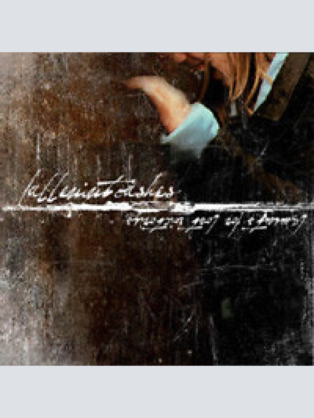 CD, Album Fallen Into Ashes - Laments For Lost Victories