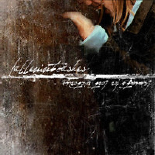 CD, Album Fallen Into Ashes - Laments For Lost Victories