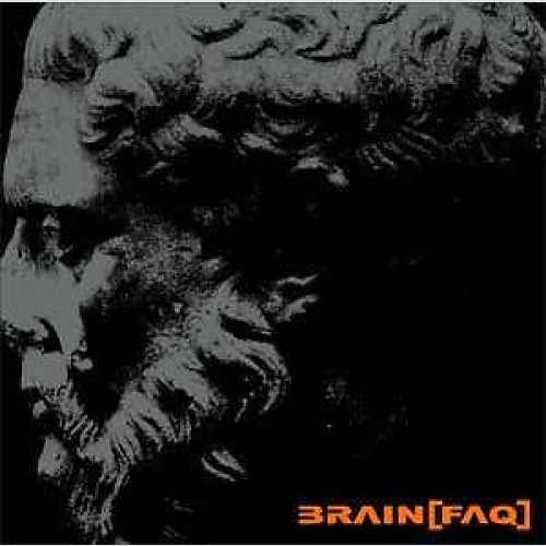CD, Album Brain[Faq] - ...Nutze Die Zeit