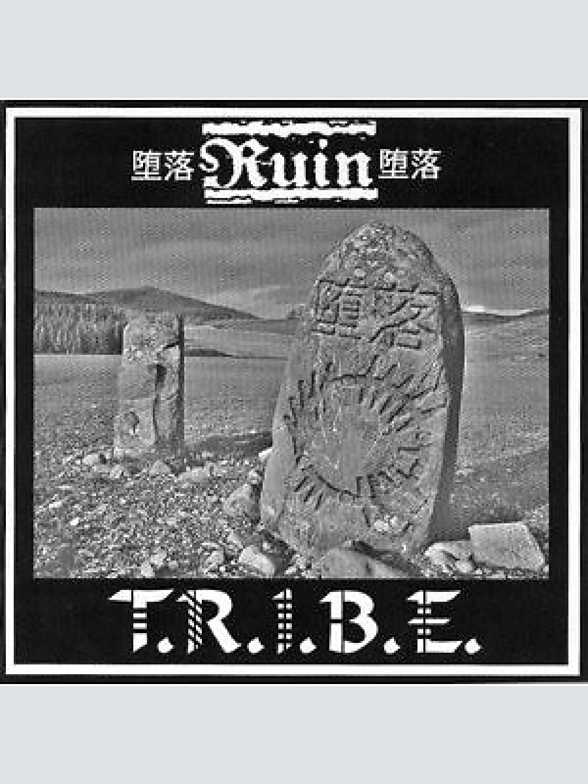 CD Ruin (4) / T.R.I.B.E. - Nation, State And Liberty / T.R.I.B.E.