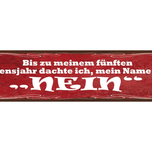 Schild Bis Zu Meinem Fünften Lebenjahr Dachte Ich Mein Name Sei Nein 46 x 10