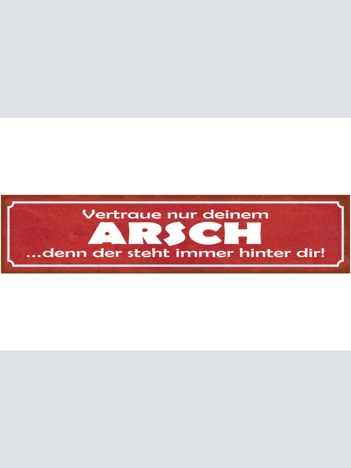 Schild Vertraue Nur Deinem Arsch Denn Der Steht Immer Hinter Dir Hintern 46 x 10