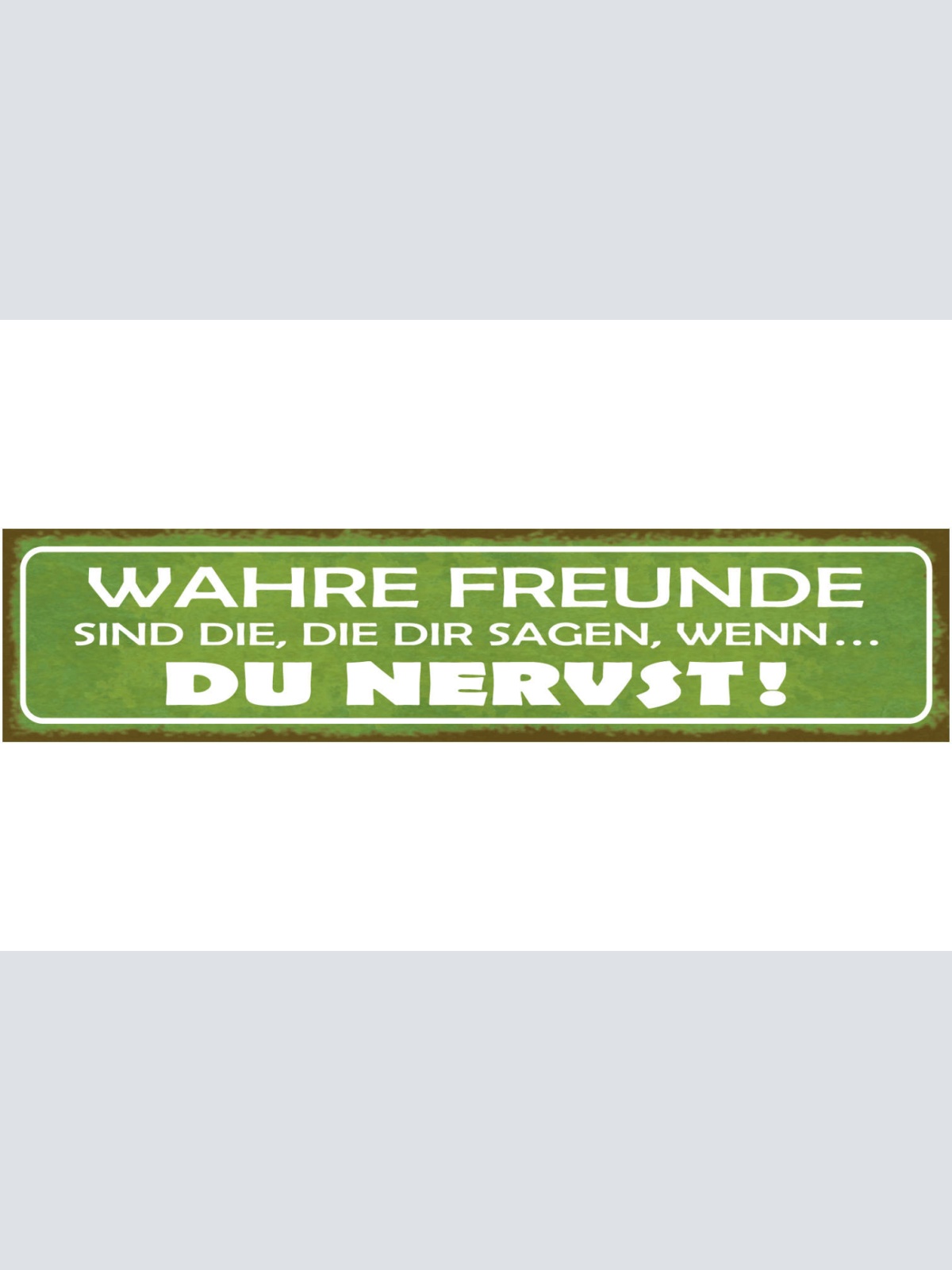 Schild Wahre Freunde Sind Die Die Dir Sagen Wenn Du Nervst 46 x 10 Blech od.Holz