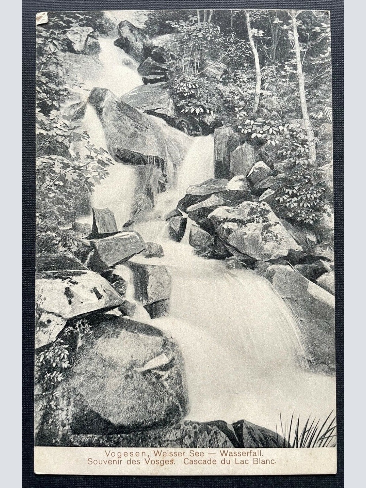 Vorgesen Weisser See Wasserfall Gebirge Berg Vosges Wald Frankreich 410725 C