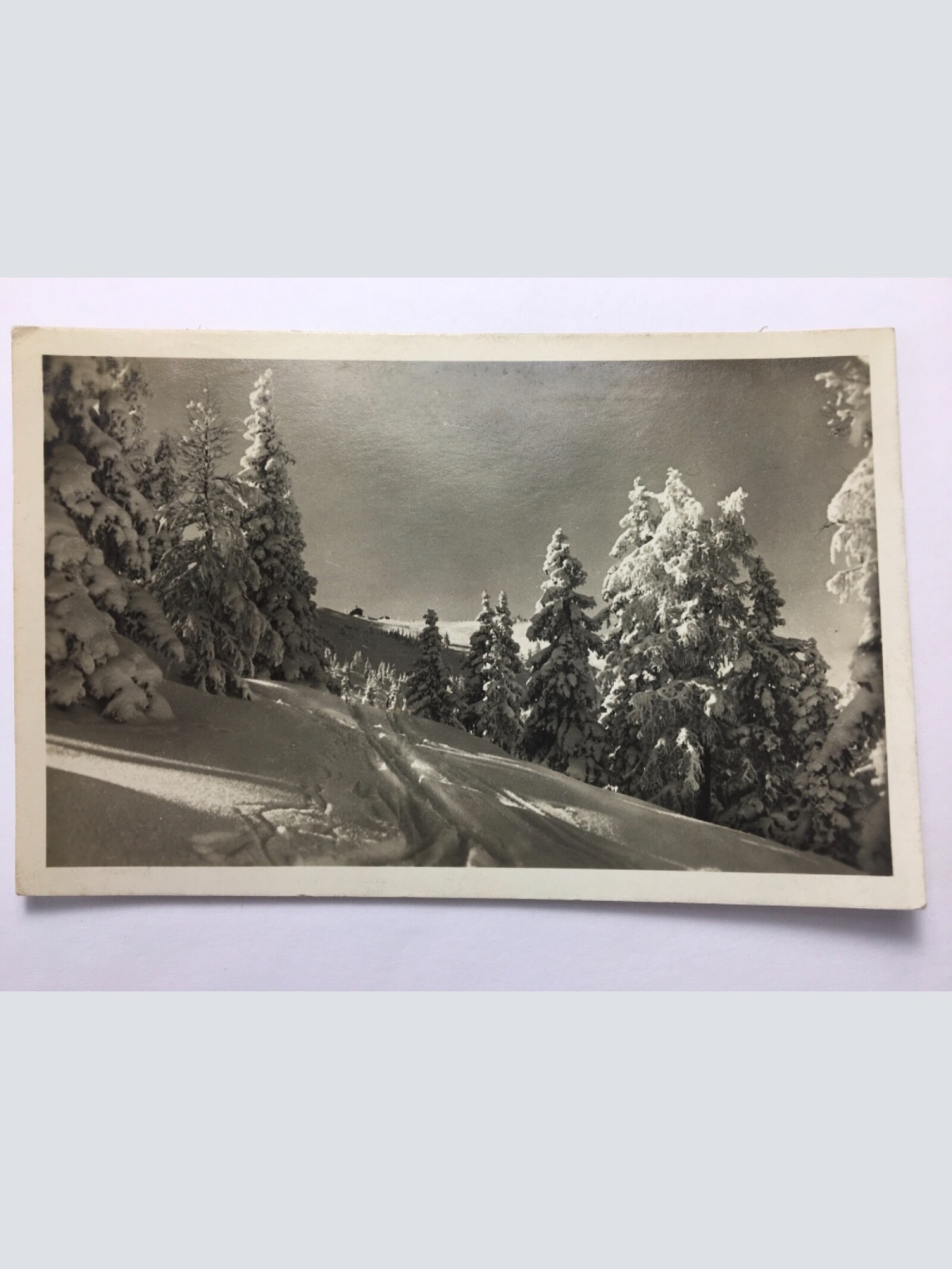 Schladmingerhütte auf der Planai - Schladming 30135 TH ShSt