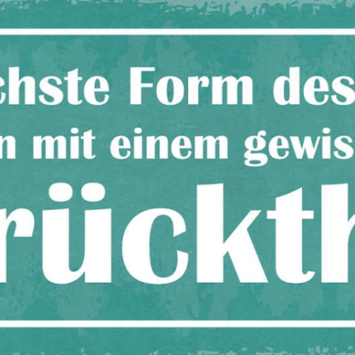 Schild Die Höchste Form Des Glücks Leben Mit Gewissen Grad Verrücktheit 27x10