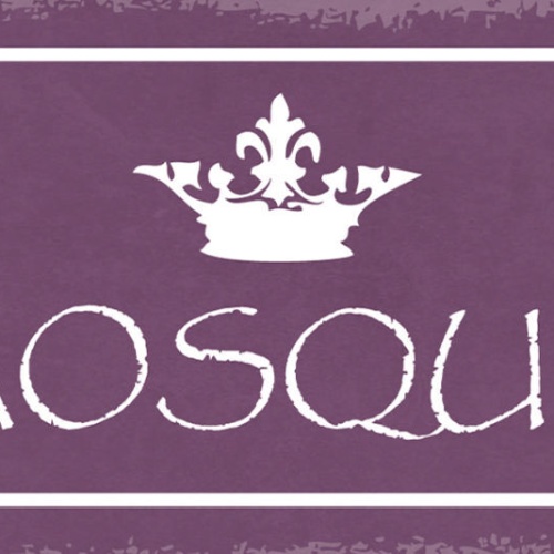 Schild Chaos Queen Chaotin Durcheinander Unorganisiert 27x10 Blech od.Holz