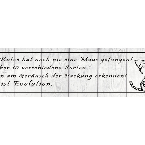 Schild Katze Maus Fangen Haus Tier Liebe Evolution Katzen 46 x 10 Blech od. Holz
