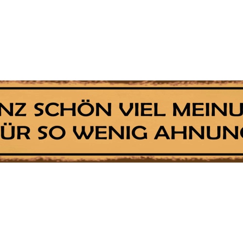 Schild Meinung Wenig Ahnung Wissen Verständnis Ansicht 46 x 10 Blech od. Holz