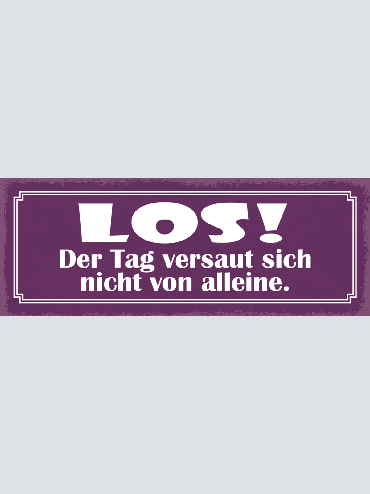 Schild Los Der Tag Versaut Sich Nicht Alleine Verderben 27x10 Blech od.Holz