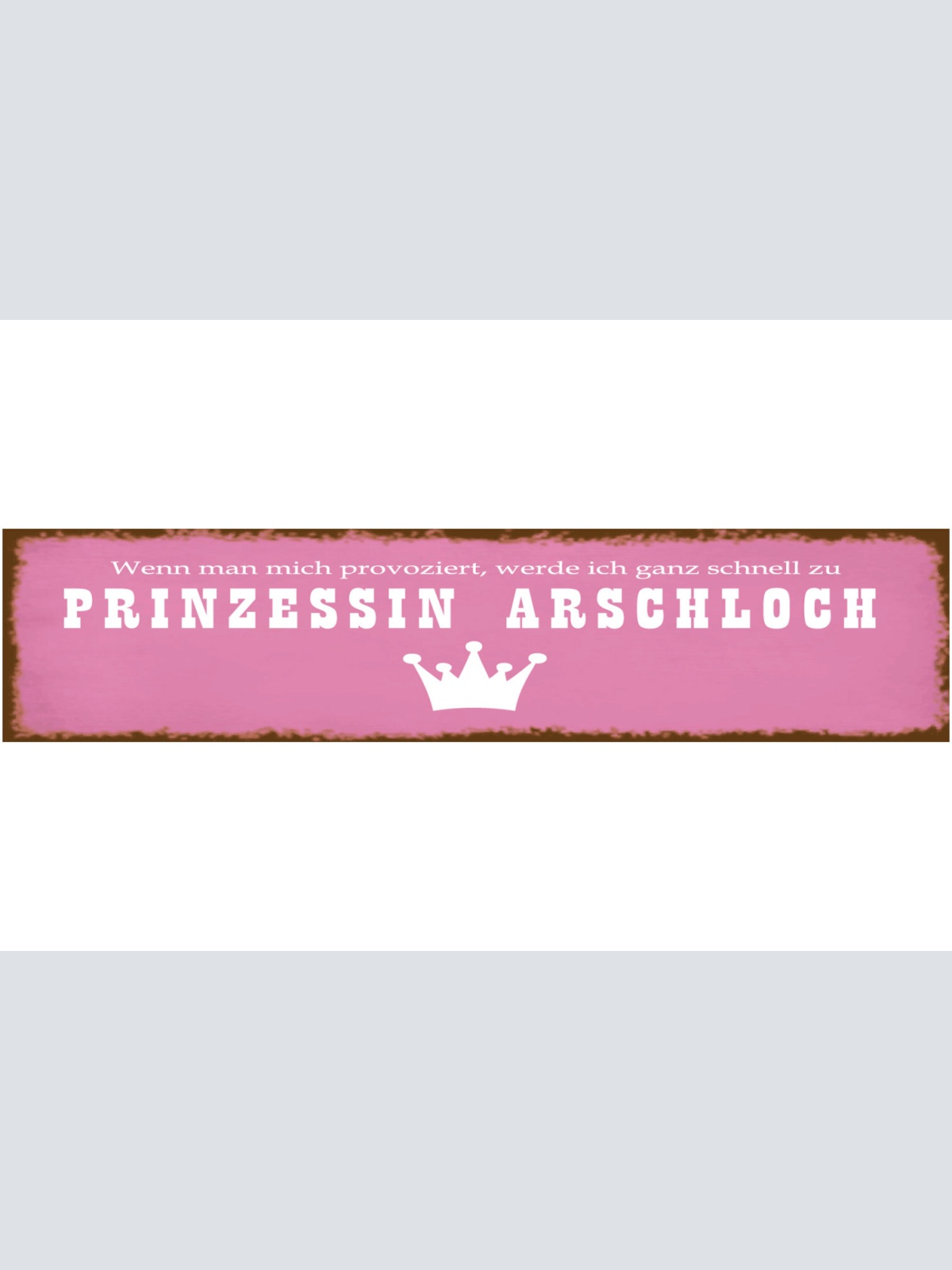 Schild Prinzessin Arschloch Provozieren Wütend Charakter 46 x 10 Blech od. Holz