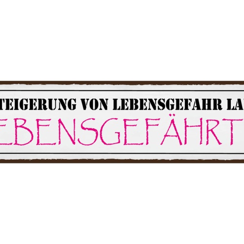 Schild Lebensgefahr Lebensgefährtin Ehe Beziehung Frau 46 x 10 Blech od. Holz