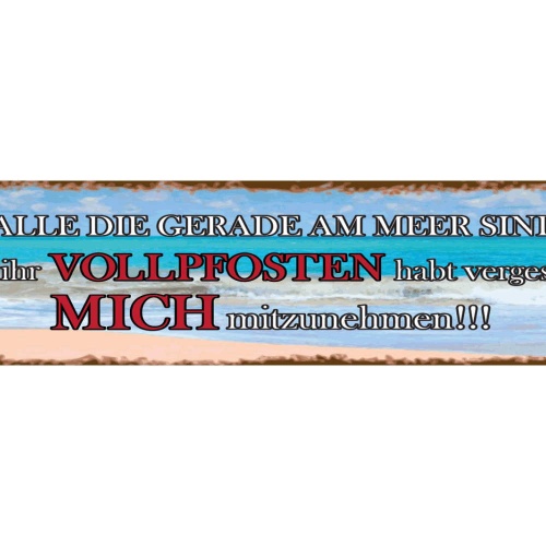 Schild Meer Urlaub Ferien Sand Strand Süden Vollpfosten 46 x 10 Blech od. Holz