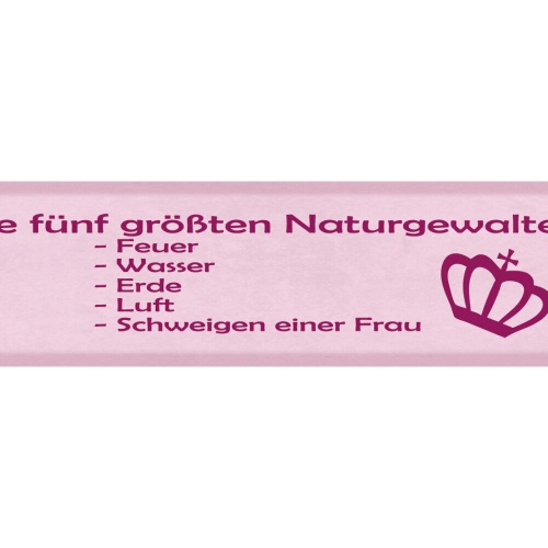Schild Die 5 Größten Naturgewalten Feuer Wasser Erde Luft Schweigen Frau 46x10