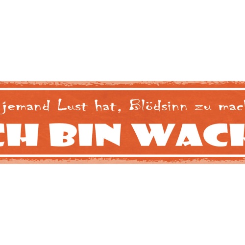 Schild Falls Jemand Lust Hat Blödsinn Zu Machen Ich Bin Wach 46 x 10