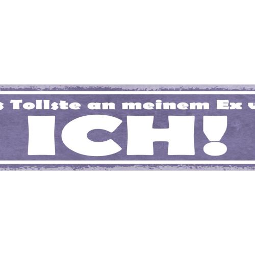 Schild Das Tollste An Meinem Ex War Ich Ehe Beziehung 46 x 10 Blech od. Holz