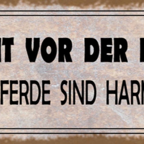 Schild Vorsicht Vor Der Reiterin Die Pferde Sind Harmlos 27x10 Blech od.Holz