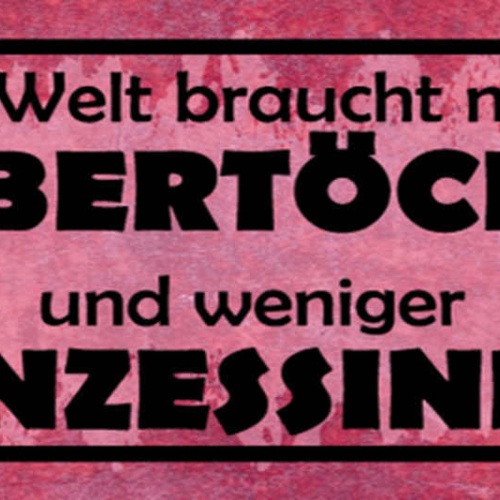 Schild Die Welt Braucht Mehr Räubertöchter & Weniger Prinzessinnen 27x10