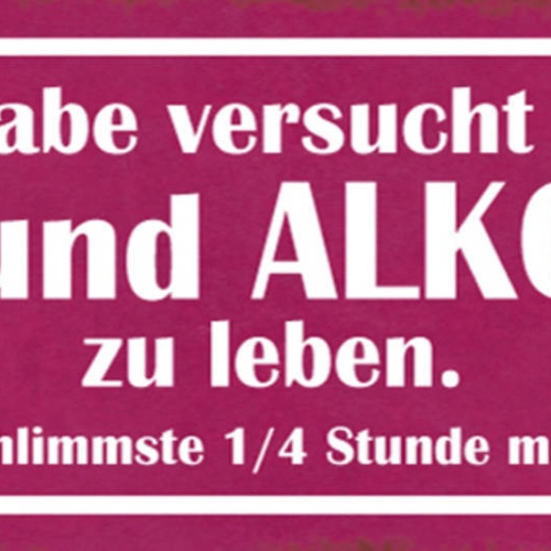 Schild Ich Habe Versucht Ohne Sex & Alkohol Zu Leben Schlimmste 1/4 Std Lebens