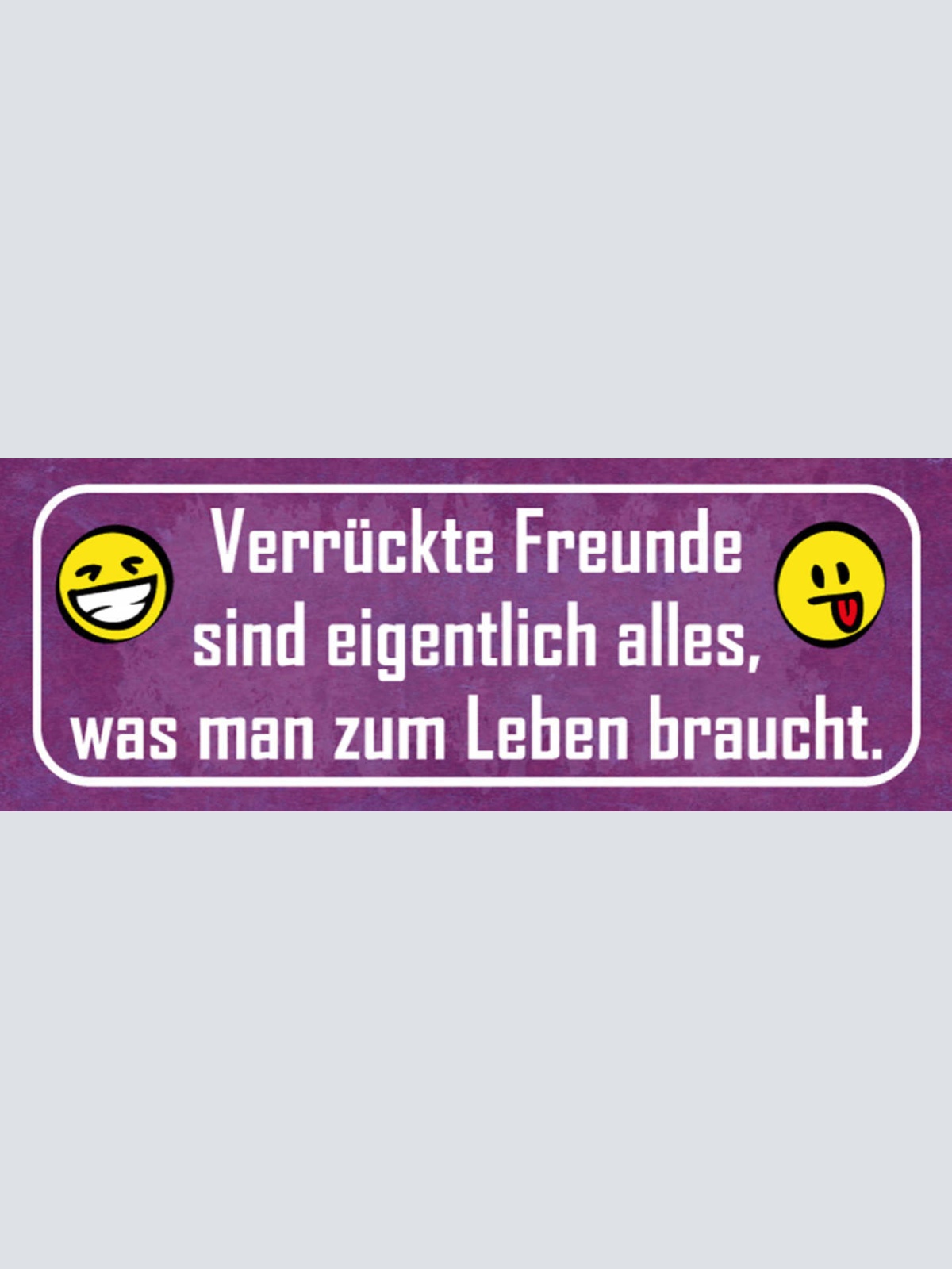 Schild Verrückte Freunde Sind Eigentlich Alles Was Man Zum Leben Braucht 27x10