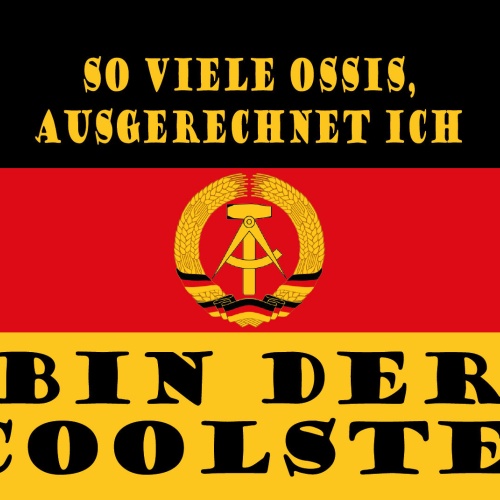 Schild Ossi Coolste DDR Ostdeutschland Osten 12x18 / 20x30 / 30x40 Blech od.Holz
