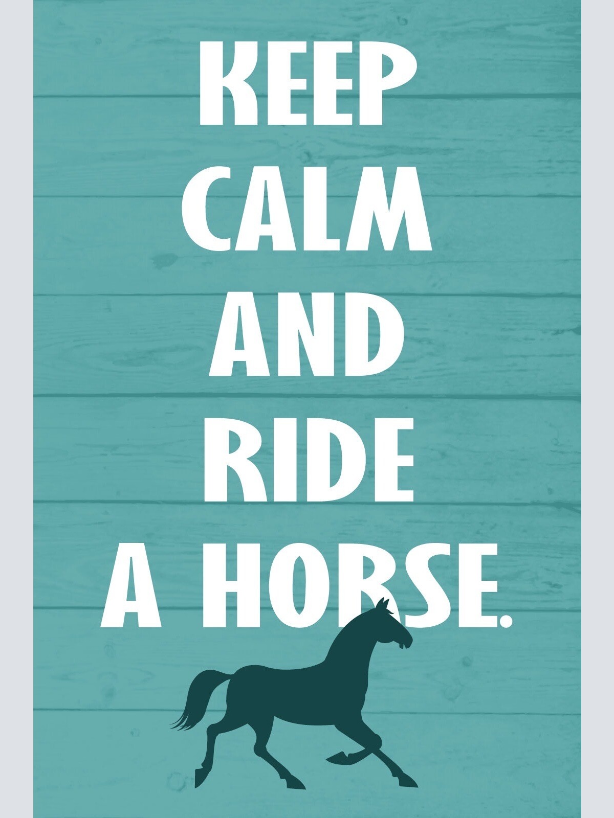 Schild Keep calm Ride horse Pferd Reiten 12x18 / 20x30 / 30x40 Blech od. Holz