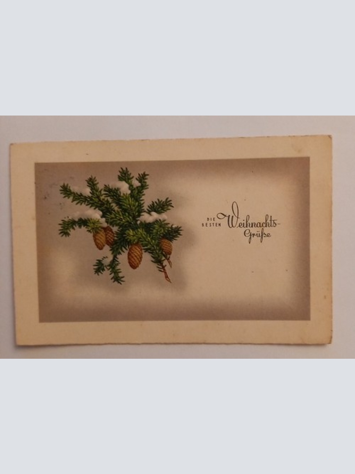 Die besten Weihnachtsgrüsse, Tannenzweig mit Zapfen Weihnachten 500118A gr D