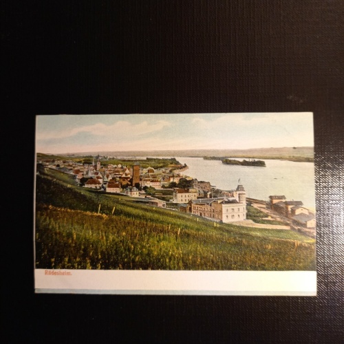 Rüdesheim Rhein 410427 gr C