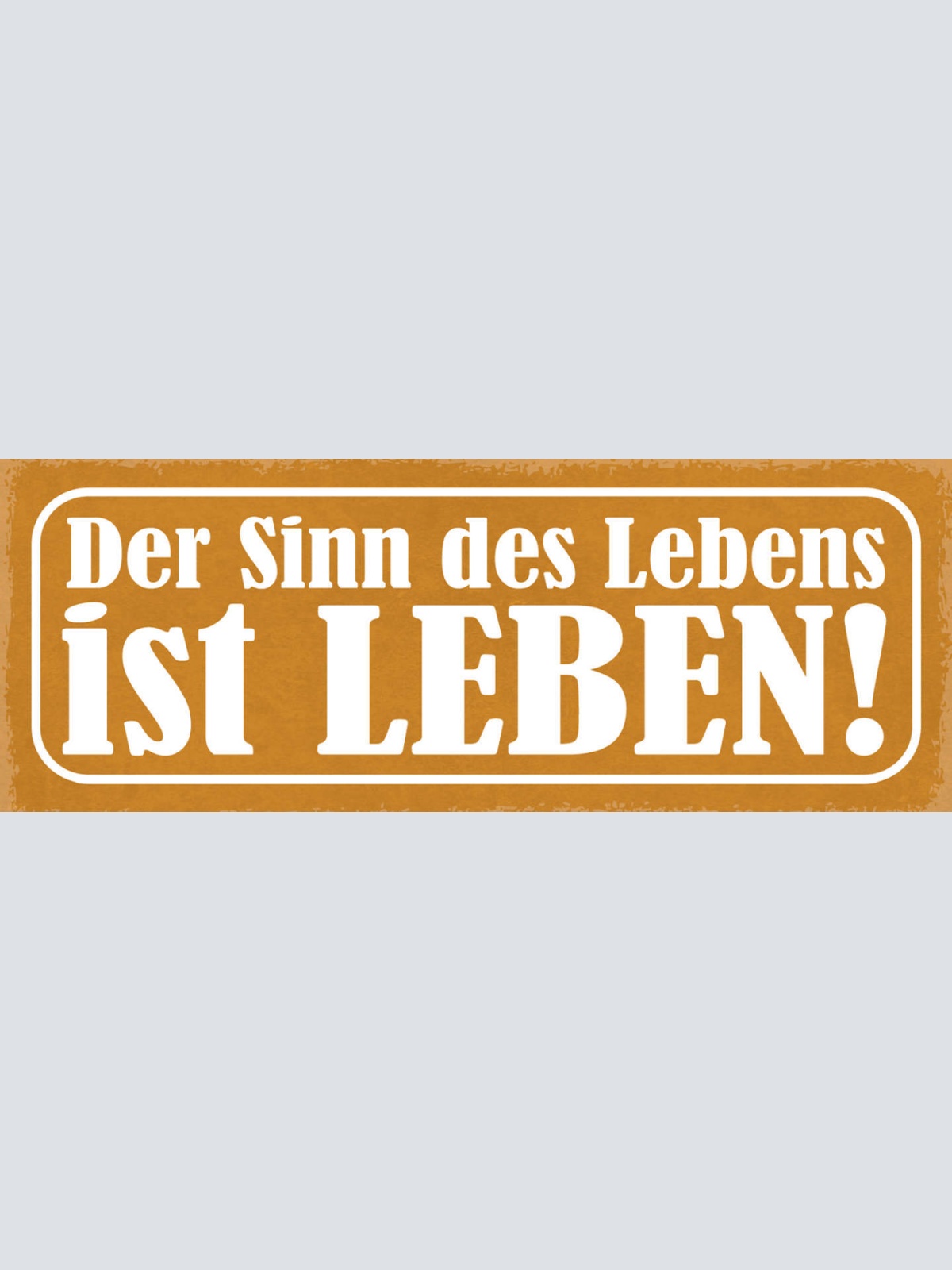 Schild Der Sinn Des Lebens Ist Leben Spaß Haben Weisheit 27x10 Blech od.Holz