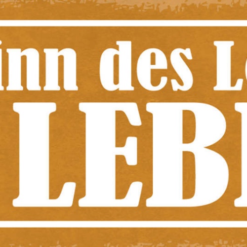 Schild Der Sinn Des Lebens Ist Leben Spaß Haben Weisheit 27x10 Blech od.Holz