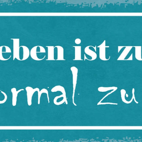 Schild Das Leben Ist Zu Kurz Um Normal Zu Sein Verrückt 27x10 Blech od.Holz