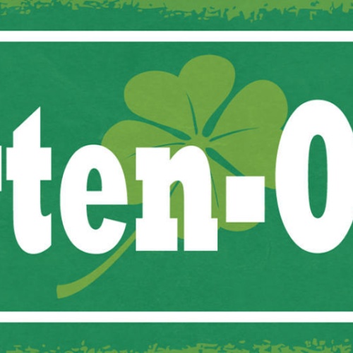 Schild Garten Oase Pflanzen Blumen Freizeit Hobby Relaxen 27x10 Blech od.Holz