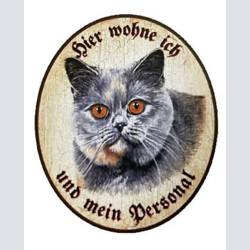Kuk nostalgie holzschild "hier wohne ich und mein personal“  katze russisch blau