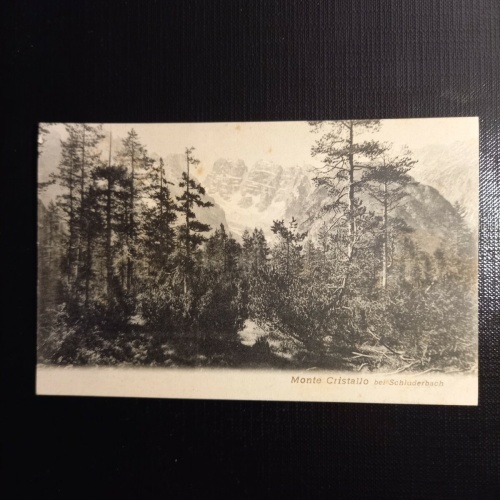 Monte Christallo 400247 gr F