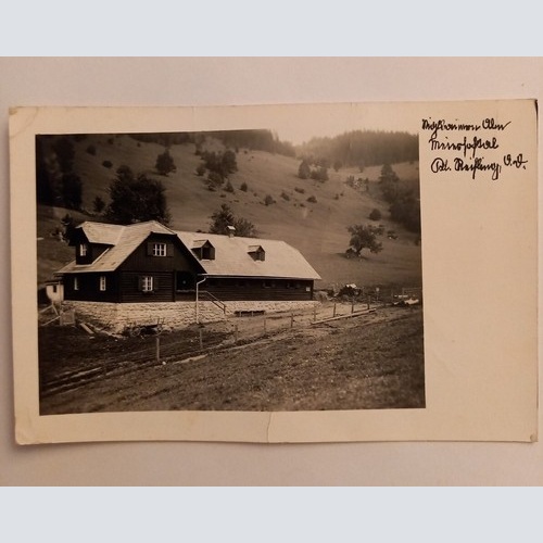 Klein Reifling Österreich 500104A gr D