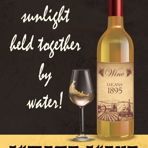 Schild White Wine Weiß Wein Sonne Wasser 12x18 / 20x30 / 30x40 Blech od. Holz