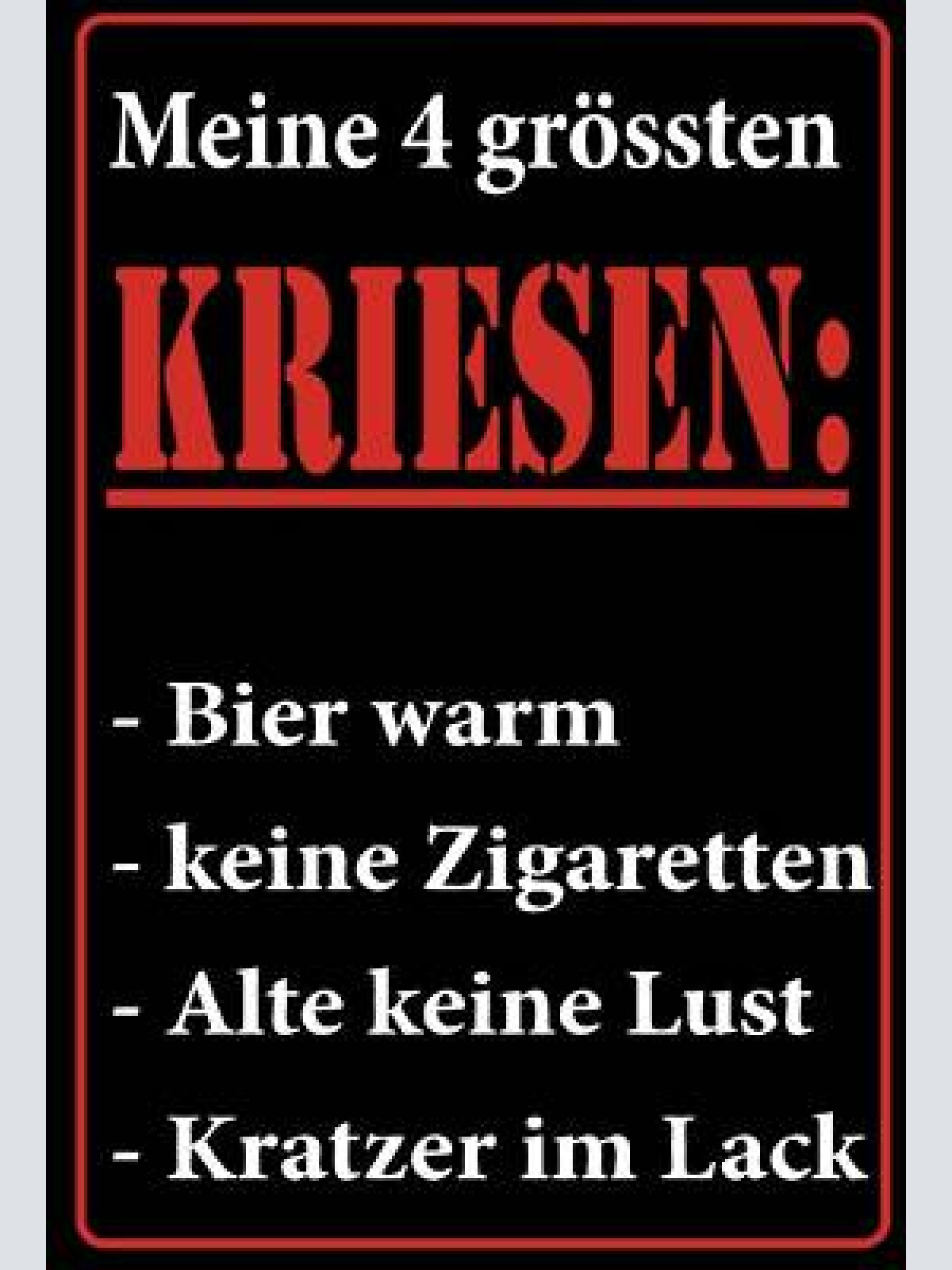 Schild humor meine 4 größten kriesen bier frau 12x18/20x30/30x40 blech oder holz